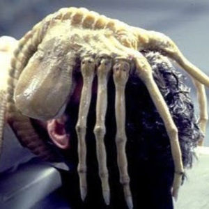 Meet your Posher, Djoodi